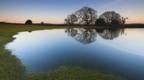 Pond in England's New Forest National Park