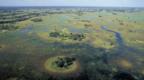 Okavango Delta in Botswana after the rainy season