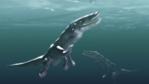 A pair of swimming Ambulocetus