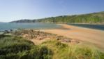 Estuaries
