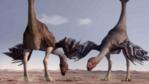 A pair of Gigantoraptors