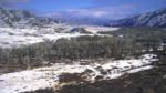 The valley of river Khemchik with poplar riparious groves, Siberia, Russia