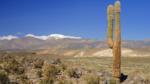 Atacama Desert, San Pedro de Atacama region with Andes on the horizon, Chile, South America