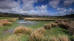 The Ynys-hir RSPB nature reserve in Wales.