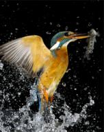 Life in slow motion