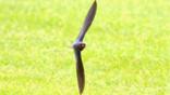 Barn swallow flying through a barn window