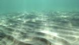 Sand ripples and dabbled light of the Mediterranean sea bed