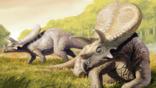 A pair of Torosaurus dinosaurs, that are now thought to be a form of triceratops