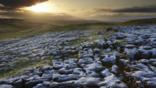 Frost on a limestone pavement in the Yorkshire Dales