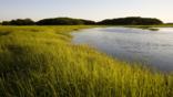 Early evening on a salt marsh