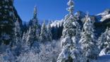 A winter snow scene in Canada