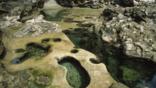 Tidal pools at low tide