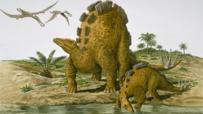 Armoured dinosaurs