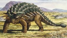 Ankylosaurs