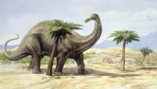 Apatosaurus