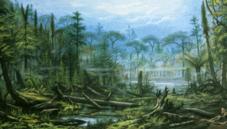 Carboniferous period