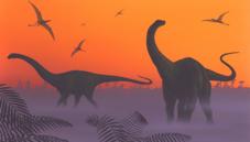 Diplodocid dinosaurs