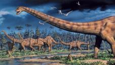 Diplodocus