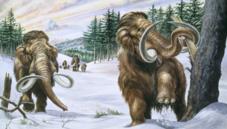 Mammoths