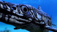 Ophthalmosaurus