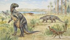 Bird-hipped dinosaurs