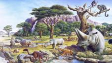 Palaeocene epoch