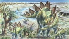 Stegosaurus