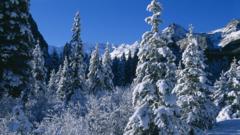 A winter snow scene in Canada