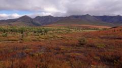 Alaskan tundra in autumn colours