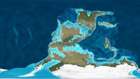 carboniferous period