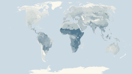 Map showing the distribution of the Hawk and eagle family taxa