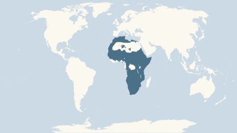 Map showing the distribution of the African bush elephant taxa