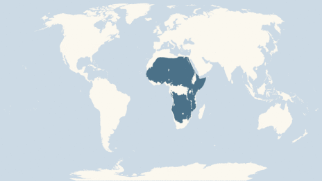 Map showing the distribution of the African wild dog taxa