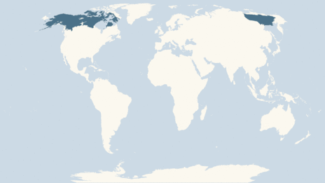 Map showing the distribution of the Arctic ground squirrel taxa