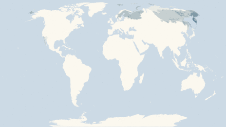 Map showing the distribution of the Auks taxa