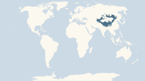 Map showing the distribution of the Bar-headed goose taxa