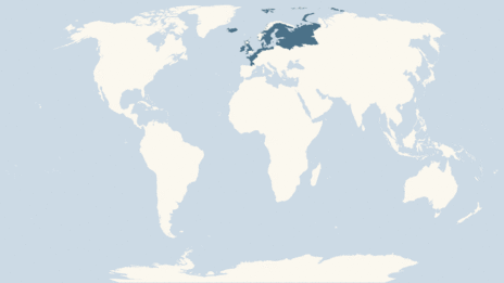 Map showing the distribution of the Barnacle goose taxa