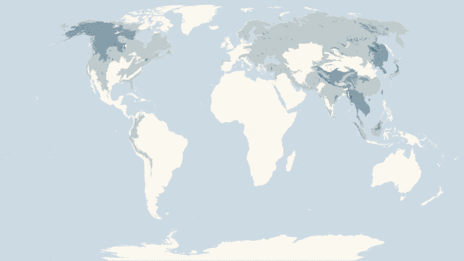 Map showing the distribution of the Bears taxa