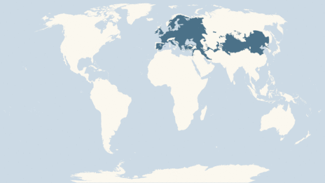 Map showing the distribution of the Bearded tit taxa