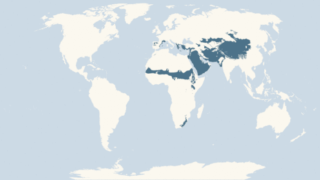 Map showing the distribution of the Lammergeier taxa