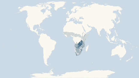 Map showing the distribution of the Mole rats taxa