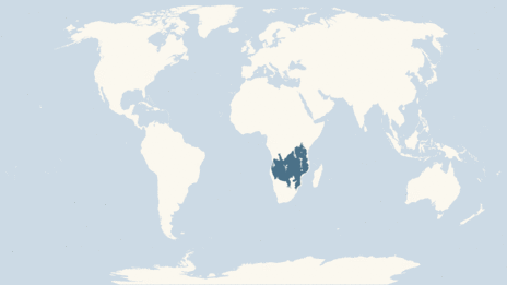 Map showing the distribution of the Blue wildebeest taxa