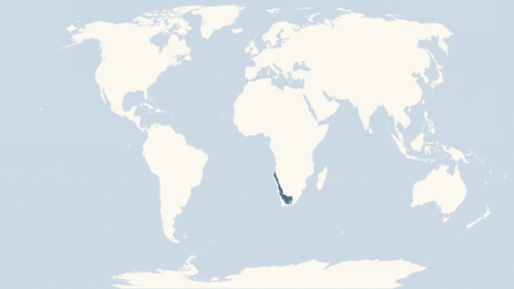 Map showing the distribution of the Broadley's flat lizard taxa