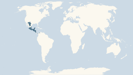 Map showing the distribution of the Brown basilisk taxa