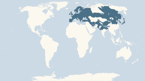 Map showing the distribution of the Brown long-eared bat taxa