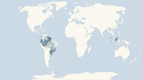 Map showing the distribution of the Caecilians taxa