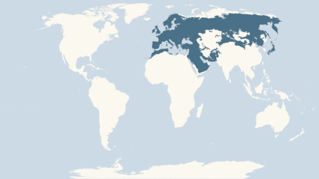 Map showing the distribution of the Chaffinch taxa