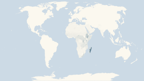 Map showing the distribution of the Chameleons taxa