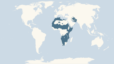 Map showing the distribution of the Cheetah taxa