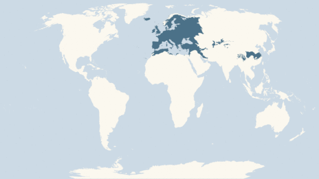 Map showing the distribution of the Blackbird taxa